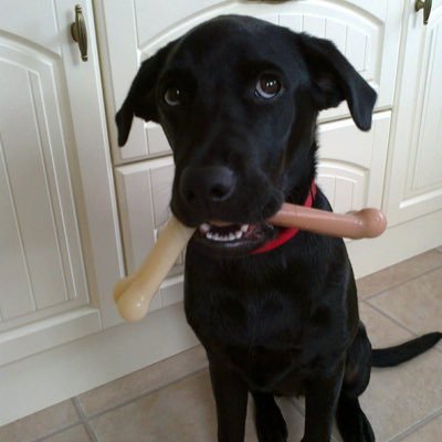 sue_marie10's profile picture. Love animals, love my country but hate what it's become 🏴󠁧󠁢󠁥󠁮󠁧󠁿🇬🇧 @_AdvanceUK | @RestoreBritain_ RTs not an endorsement NO porn NO crypto NO DMs