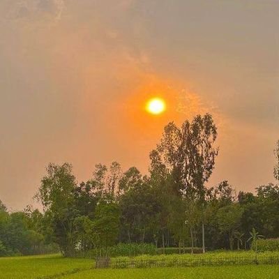 YYwns81976's profile picture. #_غزة_تنتصر