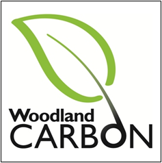 After 385 million years of R&D, Carbon Capture and Storage is perfected. Help the Woodland Trust expand the UK's native woodland -- plant more trees!