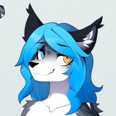 glitch_ghost64's profile picture. 23, furry, I like guns and motorbikes | 18+ only | MDNI | 💞@Nimeton02 | 🇱🇻 | Slava Ukraini