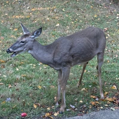 LippsLipps2's profile picture. True friendship warms the heart💕