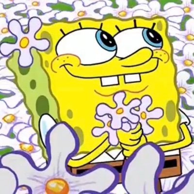 Seancris6's profile picture. 16 |🇵🇷 | Artist/Animator (3D/2D) | He/Him | and the cool guy