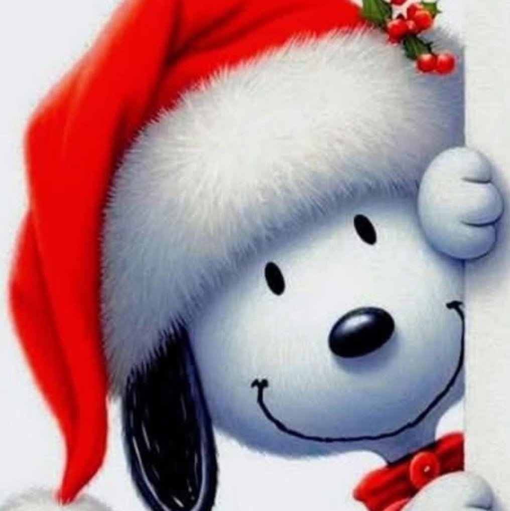 TomFrankb5ej's profile picture. 