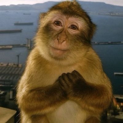 zeynepdmrtss's profile picture. bir kadinim fakat insan degil asla