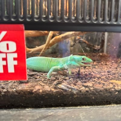 mind0fmez's profile picture. it’s my free will