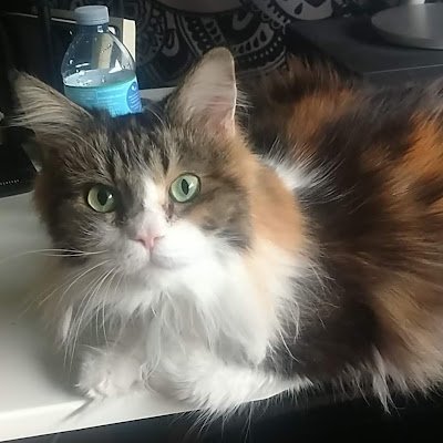 TheJazzyMichael's profile picture. 