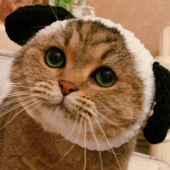 blackhorse187's profile picture. it's all so tiresome,