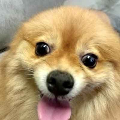 0Macdo's profile picture. just a degen