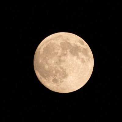 yuukose's profile picture. 現場でトレーナーとして19年目。フリーで15年目です。Stay Positive!!