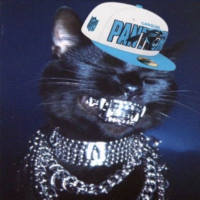 Ocifurrr's profile picture. Charlotte native and fan of Panthers and Hornets. Bryce Young truther. University of Alabama alumni. RTR . $adamsethmccutchen https://t.co/QGhnjdqZ6h