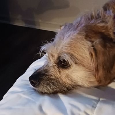 MelissaMor8602's profile picture. I'm a firm believer in doing what's right, not what's easiest 💯 I believe that honesty and kindness are the most important traits in people