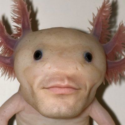 DonbawlE83290's profile picture. 