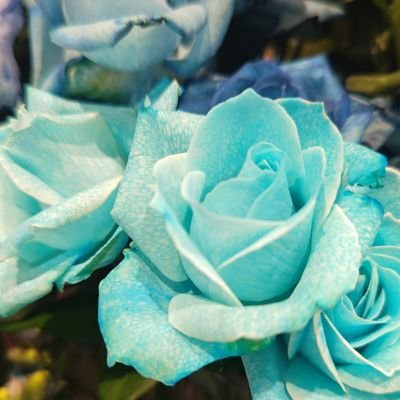 kenichirou85257's profile picture. 南無妙法蓮華経