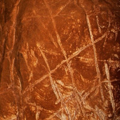 ARandomNoticer's profile picture. Let’s start over