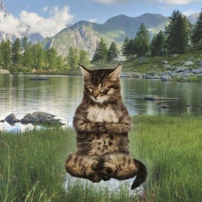 sunkiIIer's profile picture. 