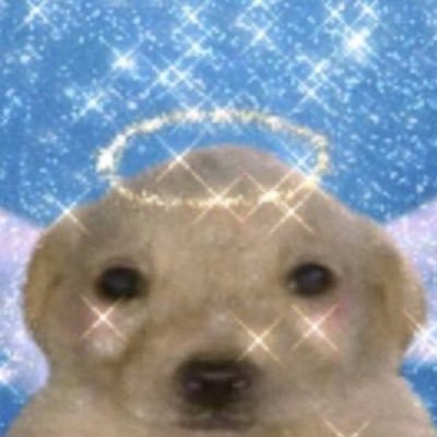 salmoon303's profile picture. 🔞BL, freelancer | 🚫minor, AI | oc mostly | REPOST WITH CREDIT | commission (CLOSE) (details in the link below) ▶️ contact ✉️ & X