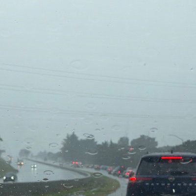 tribfan100's profile picture. ...