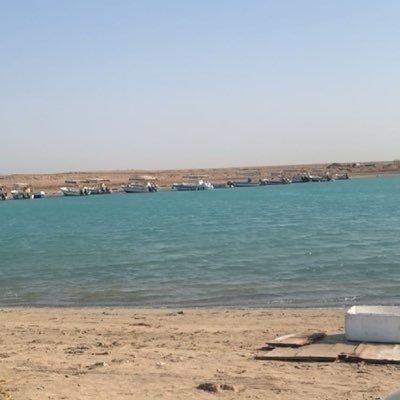 amooma_m's profile picture. 