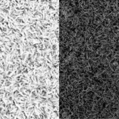 suddenchangesan's profile picture. I am in the ground