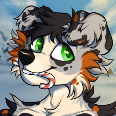 susserko's profile picture. low elo faceit player