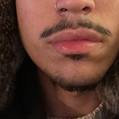 gatolover69420's profile picture. 22