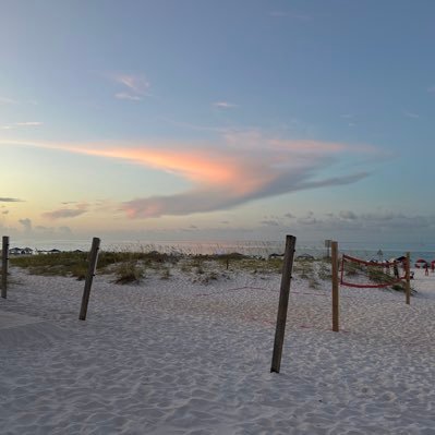 OnTheBeachAlice's profile picture. 