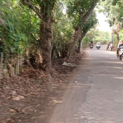 faniaborland's profile picture. Cari sesama pasutri yang reel aja