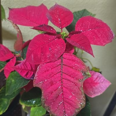 SandsOfSecrets's profile picture. 