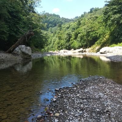 ErolYazar5555's profile picture. 