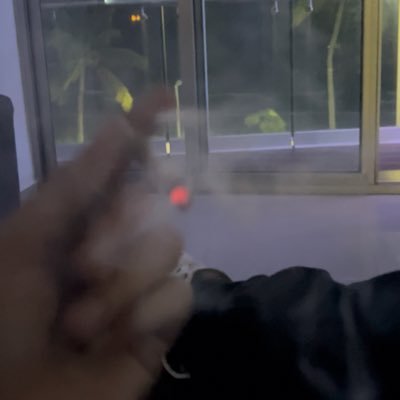 amadordie's profile picture. 