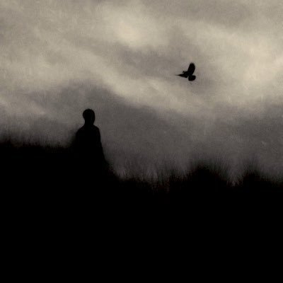 someone4__'s profile picture. نورًا أو نارًا.