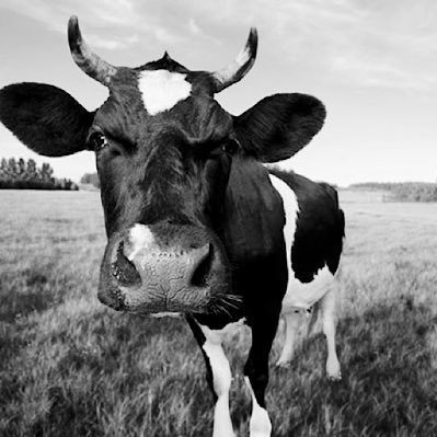 Hastevvs's profile picture. dreams to reality | YouTube 0 | Twitch 6 | TikTok 3