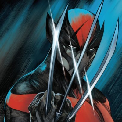 notanyonelegend's profile picture. 