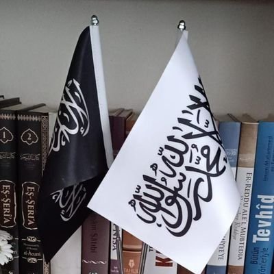 candanefecan90's profile picture. 