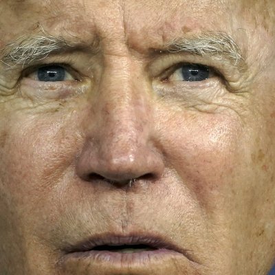 StefanPowell385's profile picture. MAGA … that is all.