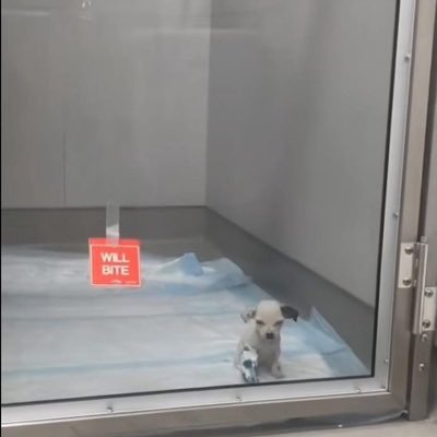 acrc31's profile picture. 