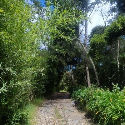 ojosdeaguila72's profile picture. amante de la mùsica, del campo y de la vida.