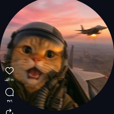 Li8vI9's profile picture. احترمني احترمك ولااعرف ماذا اقول انا ضايع طول عام أصلا