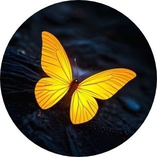 DyorTime's profile picture. Crypto + G.V.D → Designer 🏜️