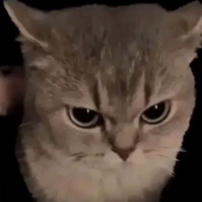 omgmaxxxine's profile picture. thinking about me?