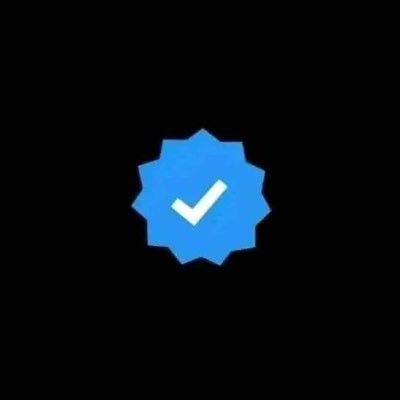 tweetsoldat's profile picture. 