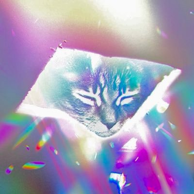 CryptoNCatnip's profile picture. NFA AS I'M A CAT (in the ceiling, watching)