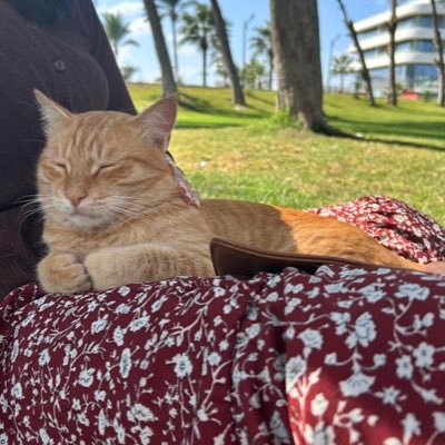 barody_5's profile picture. sitcomholic