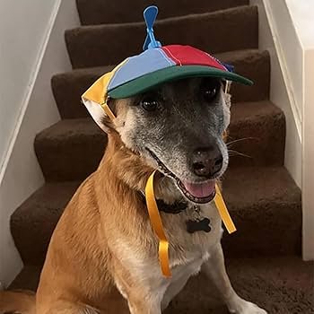 _Thomas63_'s profile picture. .