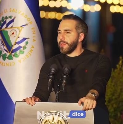 NayibBukeleDice's profile picture. 