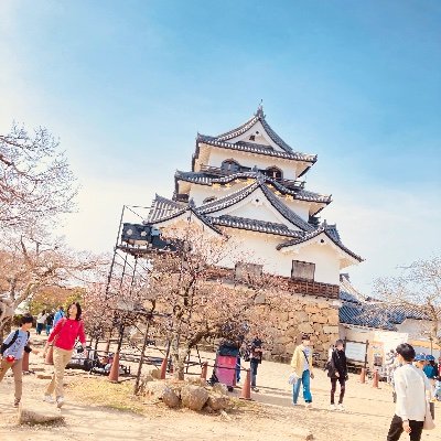 IorueZxslD34043's profile picture. 裏