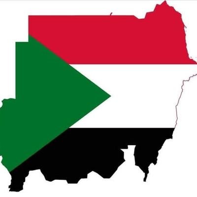 MusaIbrahi49552's profile picture. 