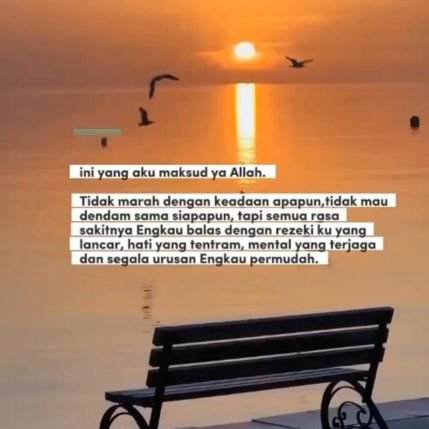 annourcharity's profile picture. #Des5_21 #RealAccount9 #FEMALE #ISTANWITHPALESTINE🇯🇴 ❤@elonmusk ❤️ ❤️ #LionAirGroup #NoPorn  🚫YahudiPesek 🚫JIL 🚫Syi'ah