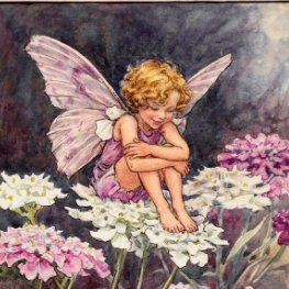 forsylia's profile picture. 