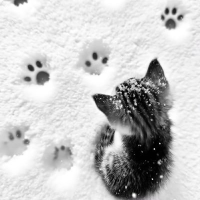 axesum's profile picture. Business inquiries: axembusiness@gmail.com